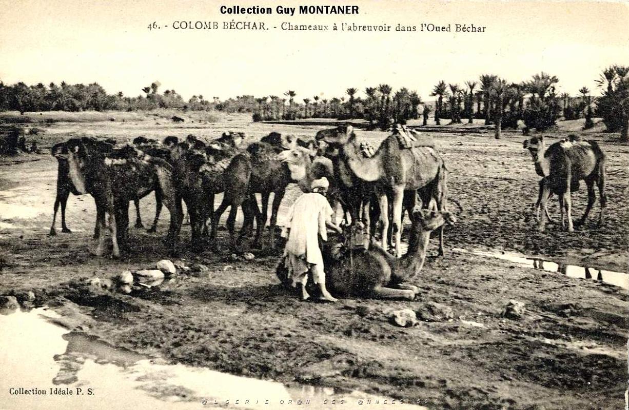 Colomb bechar 025- Collection Montaner_2.jpg